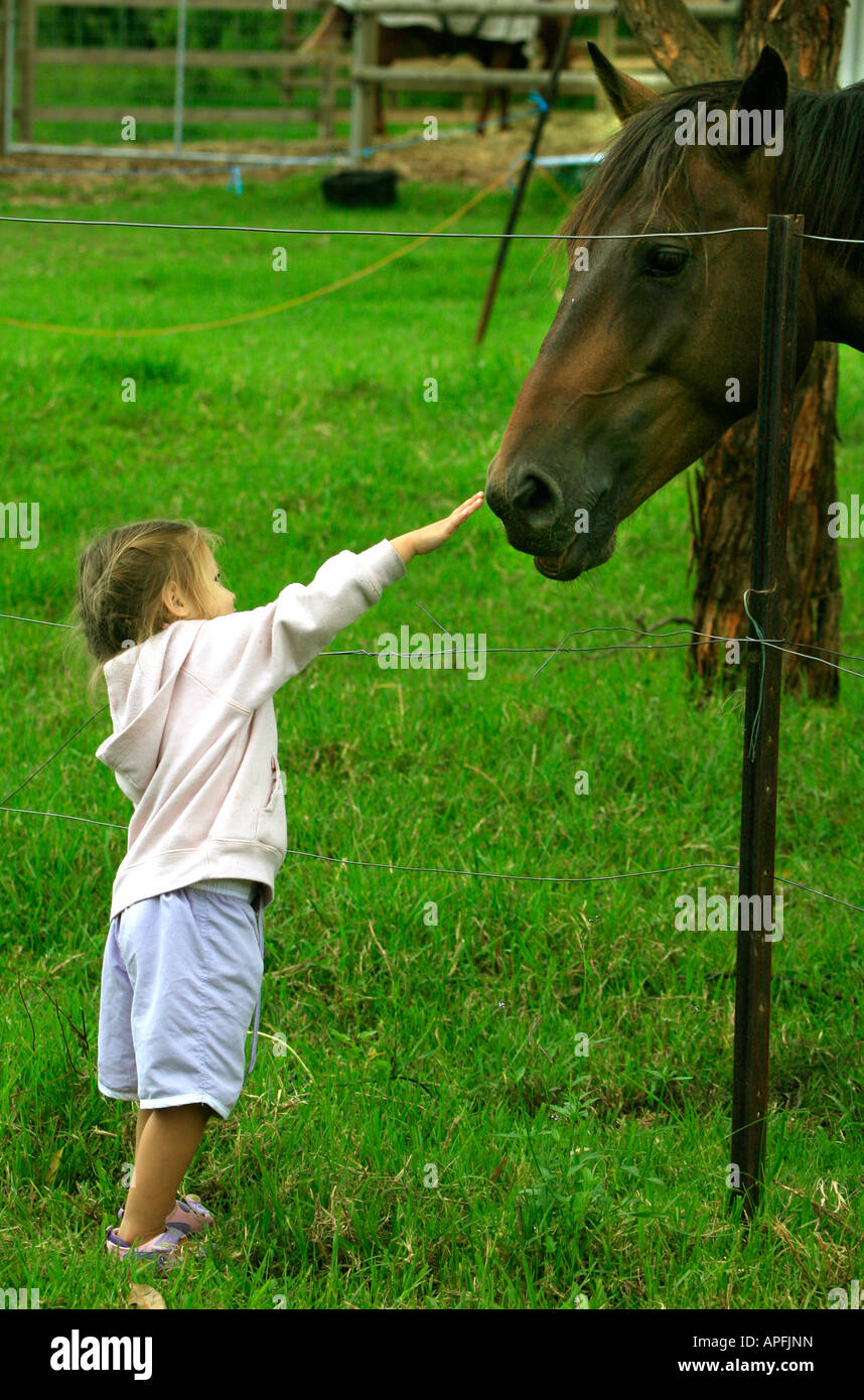 Un piccolo bambino raggiunge pat a cavallo del naso. Foto Stock