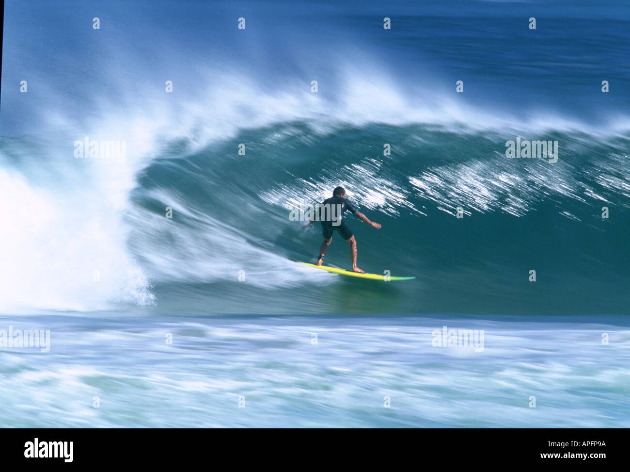 Surfer sulla canna di Mundaka ONDA, Spagna Foto Stock