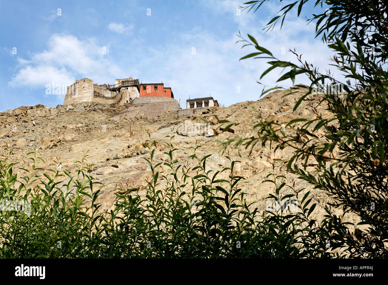 Tsemo Gompa e la vittoria di Fort in Leh Ladakh India Foto Stock