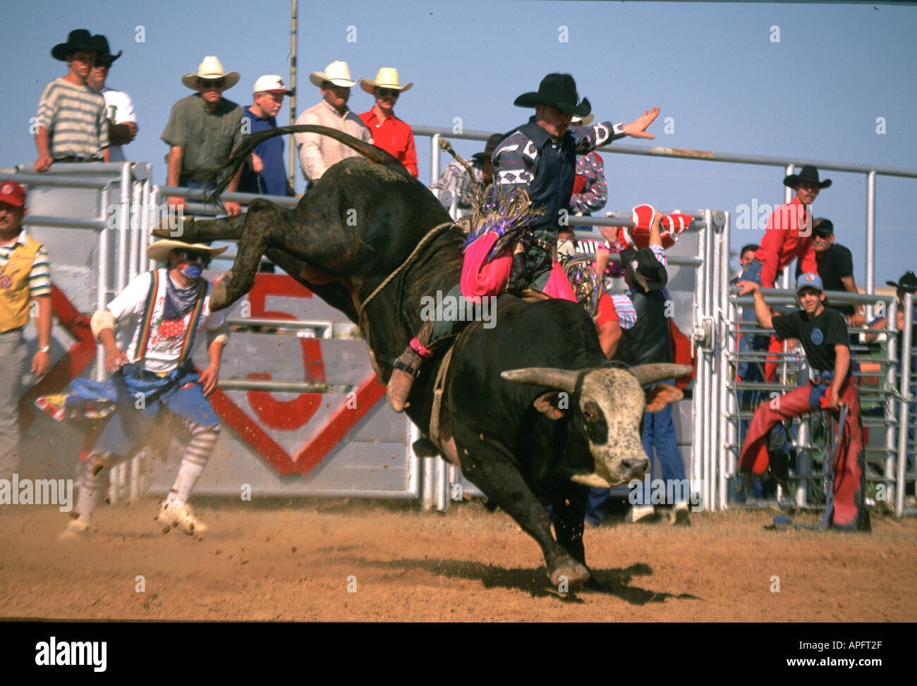 Bull riding rodeo, Texas Foto Stock