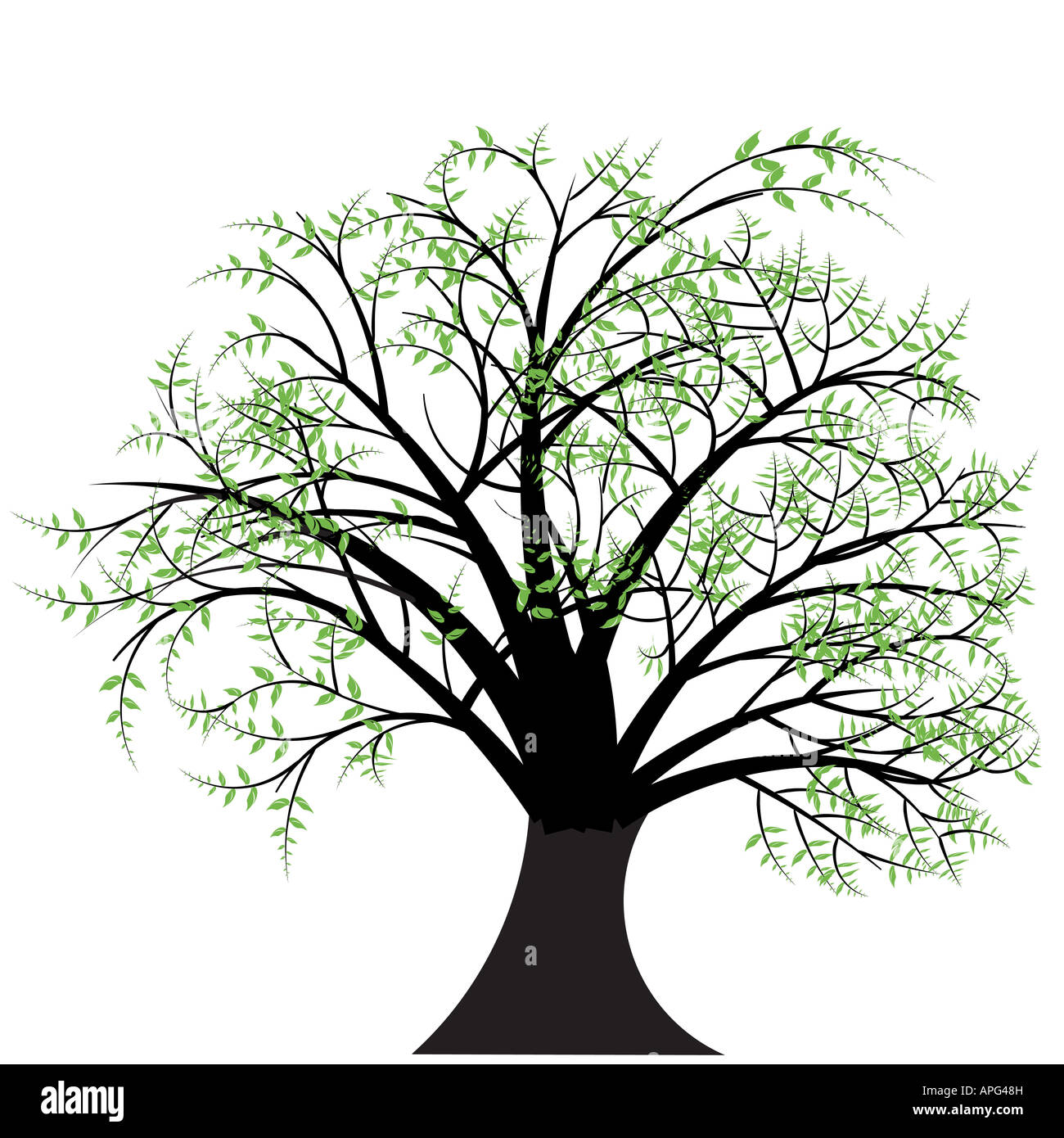 Vettore di bellissimo design ad albero Foto Stock