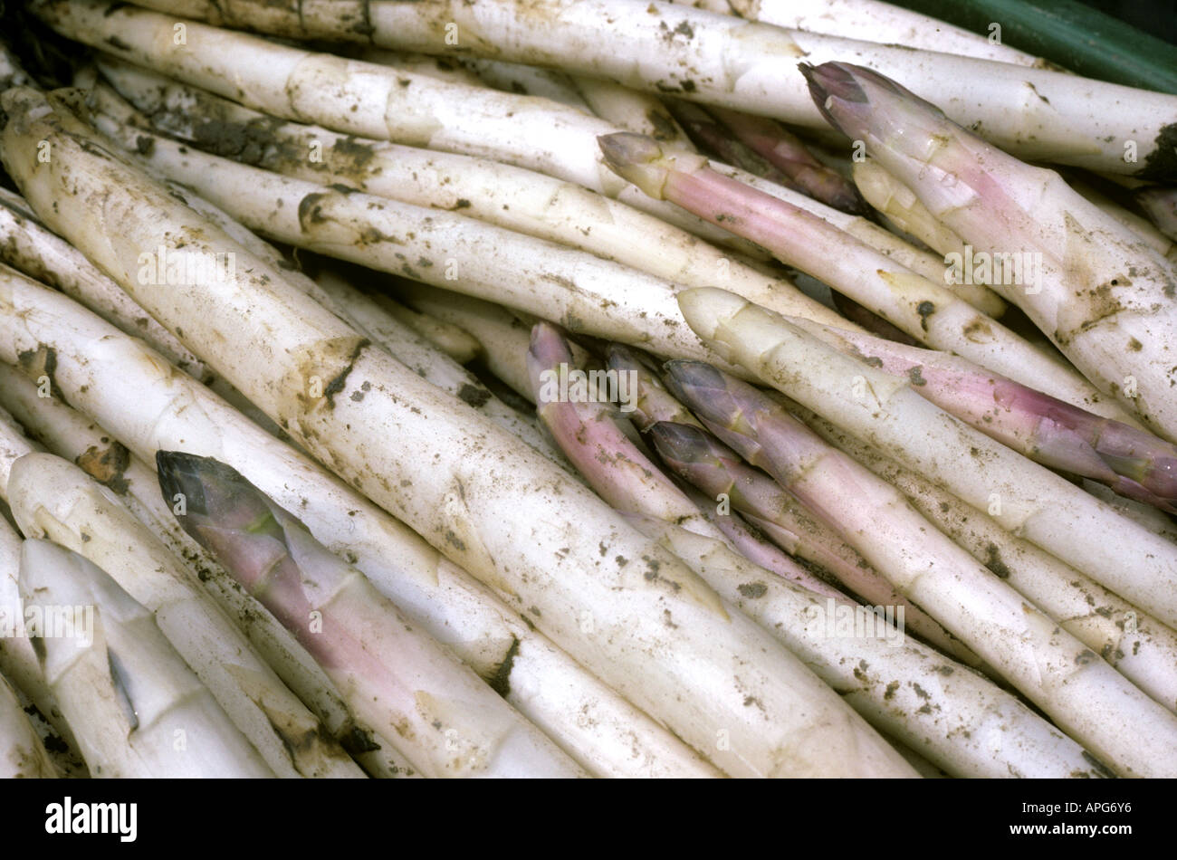 Scatola di asparagi bianchi germogli raccolti poco dopo l'incidente nucleare di Chernobyl Grecia Foto Stock