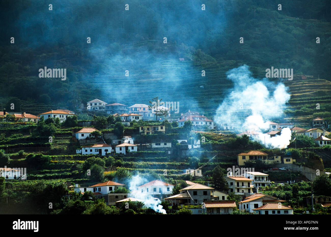 Case nel borgo, Madeira, Portogallo Foto Stock