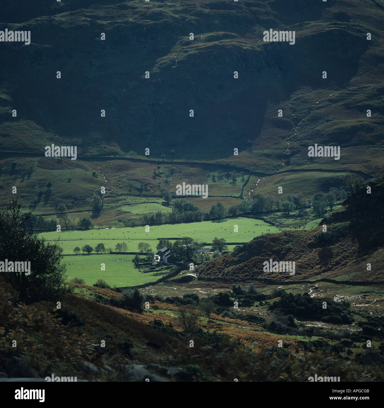 I colori autunnali nel Lake District è scesa valle dopo forti piogge Cumbria Foto Stock