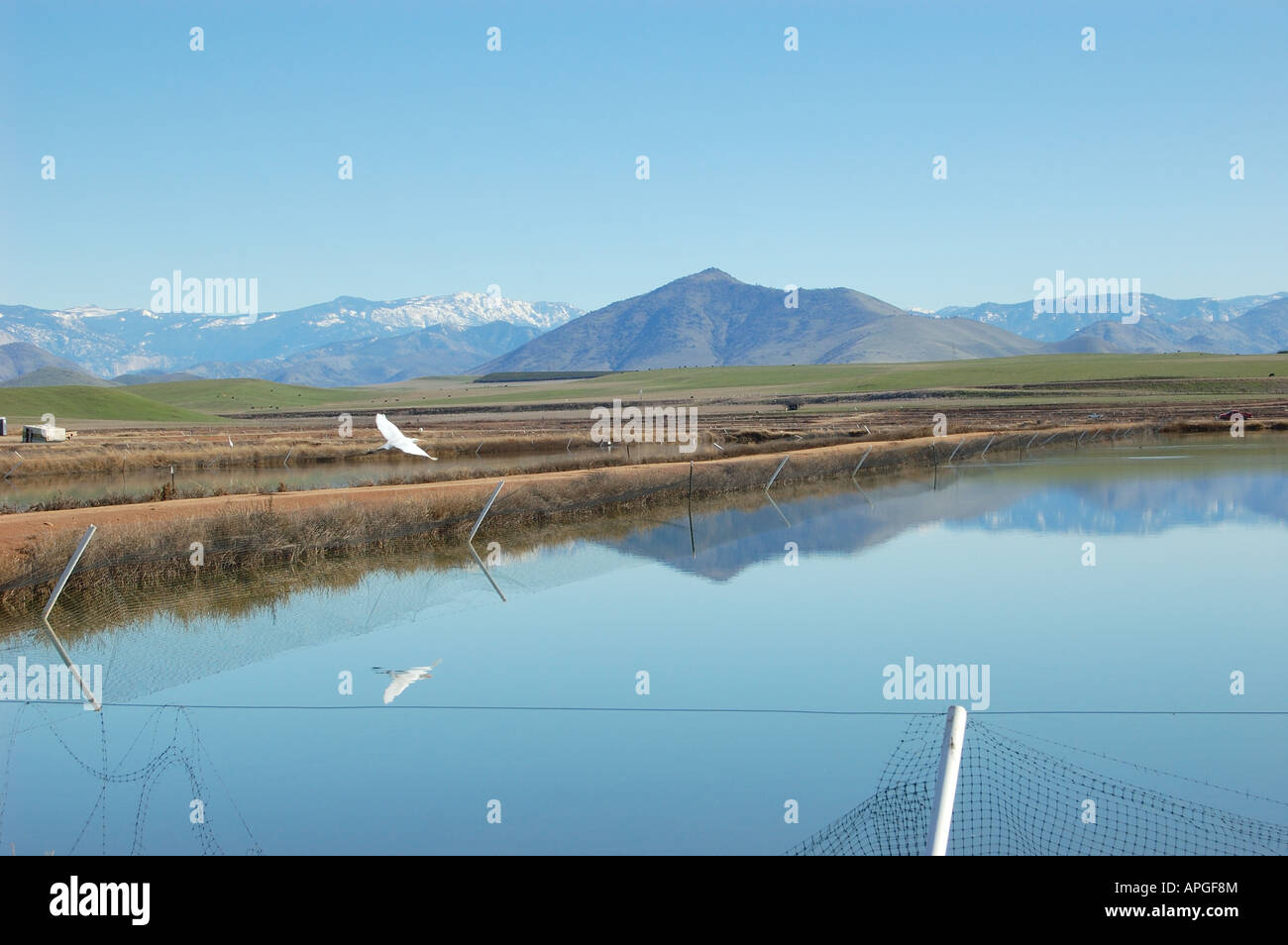 Fish Hatchery Central Valley California vicino a Fresno Sierra Nevada inverno Foto Stock