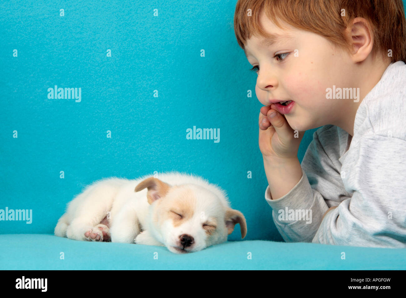 Ritratto di un giovane ragazzo che giace accanto a un sonno mongrel pup Foto Stock