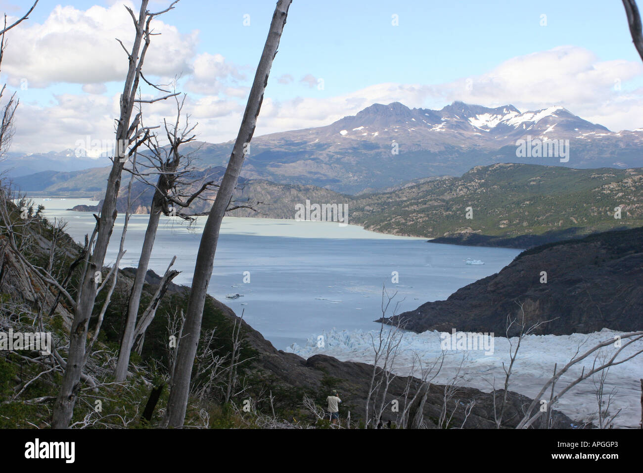 Guardando al Lago (lago) grigio, Torres del Paine, Cile Foto Stock