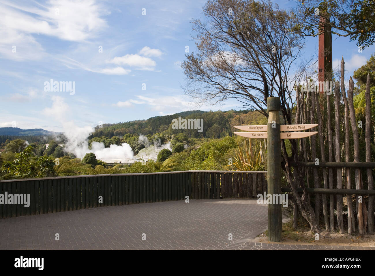 Segnaletica e dal punto di vista che si affaccia la cottura a vapore di geyser in Nuova Zelanda - Istituto di Arte e Artigianato in Riserva Termale di Whakarewarewa Rotorua Foto Stock