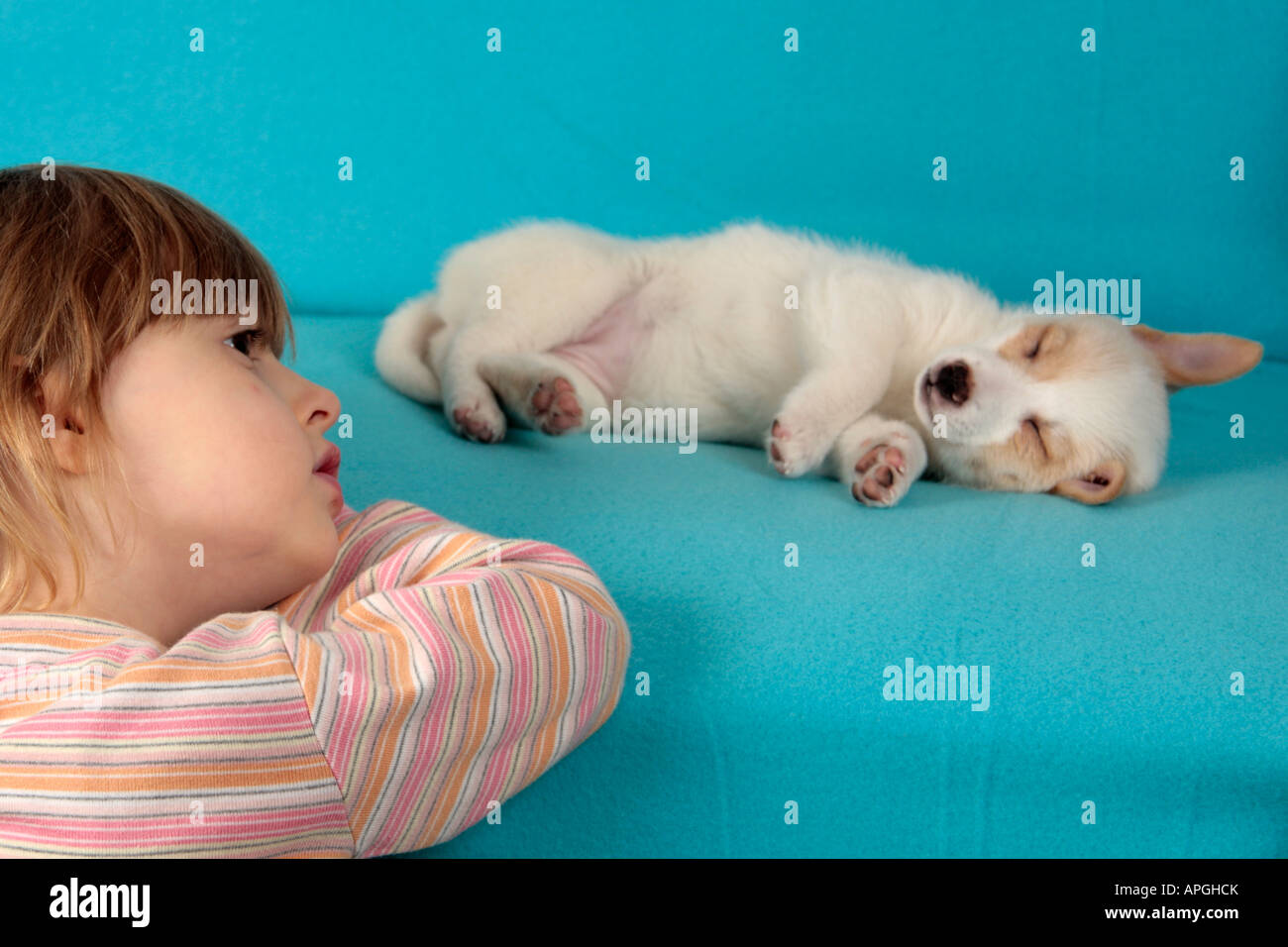 Ritratto di una giovane ragazza guardando un sonno mongrel pup Foto Stock