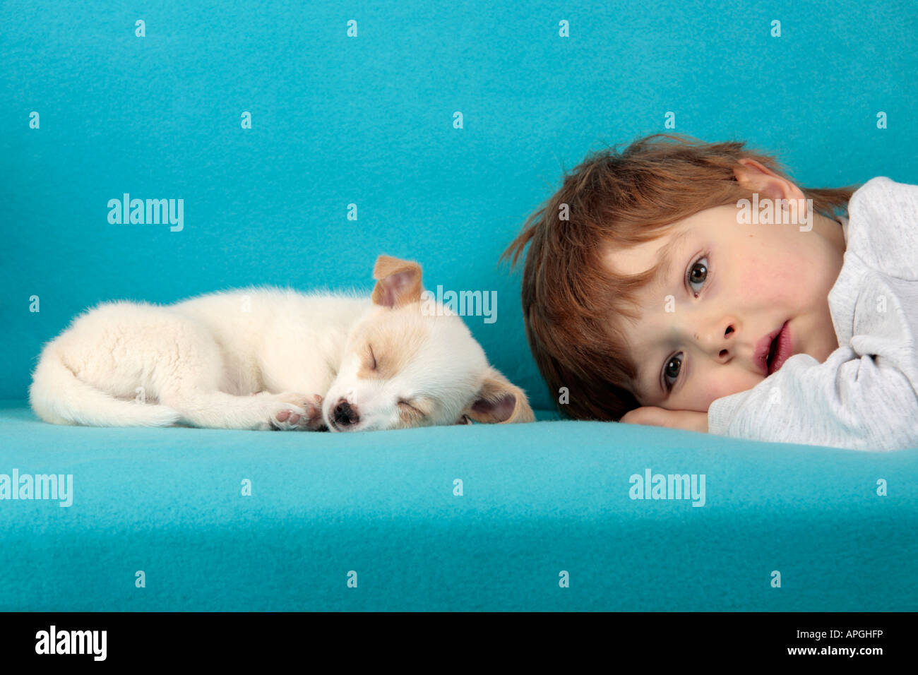 Ritratto di un giovane ragazzo che giace accanto a un sonno mongrel pup Foto Stock