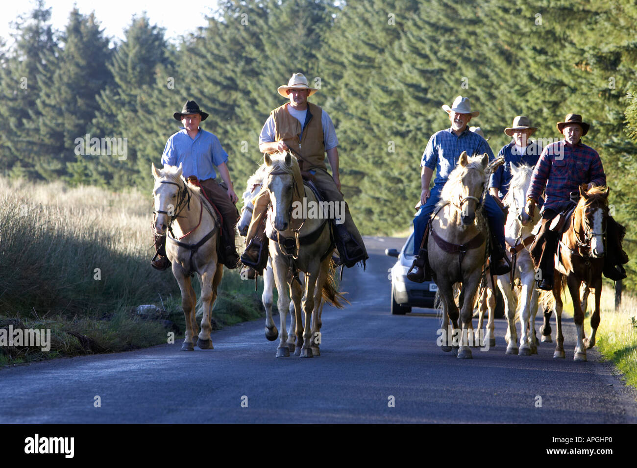 Cowboys a nord sperrins percorso panoramico retroilluminato su strada accanto a foresta con auto in attesa di passare nella contea di Londonderry Irlanda del Nord Foto Stock