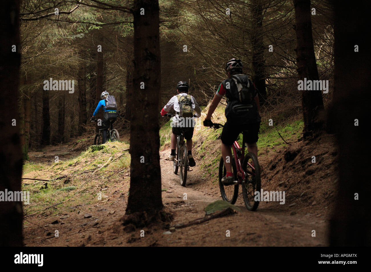 Giovani appassionati di mountain bike GIRO IN Afan Forest Park in Galles del Sud Foto Stock