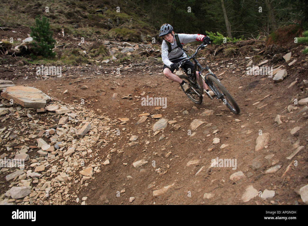 Giovani Mountain Biker rides Berm a Afan Argoed Forest park, il Galles.UK Foto Stock