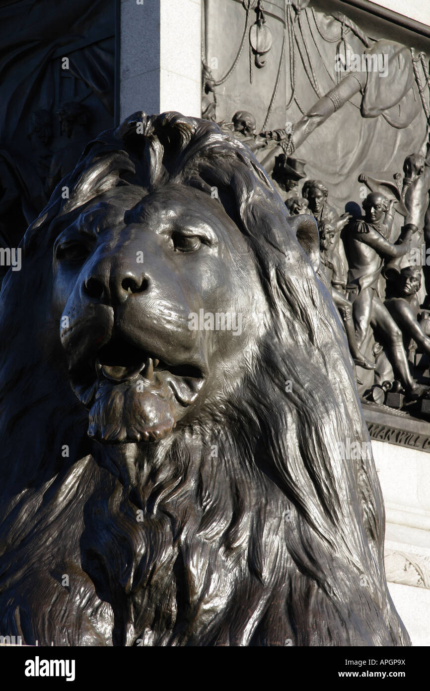 Uno di Landseer Lions del- Trafalgar Square Londra 2 Foto Stock
