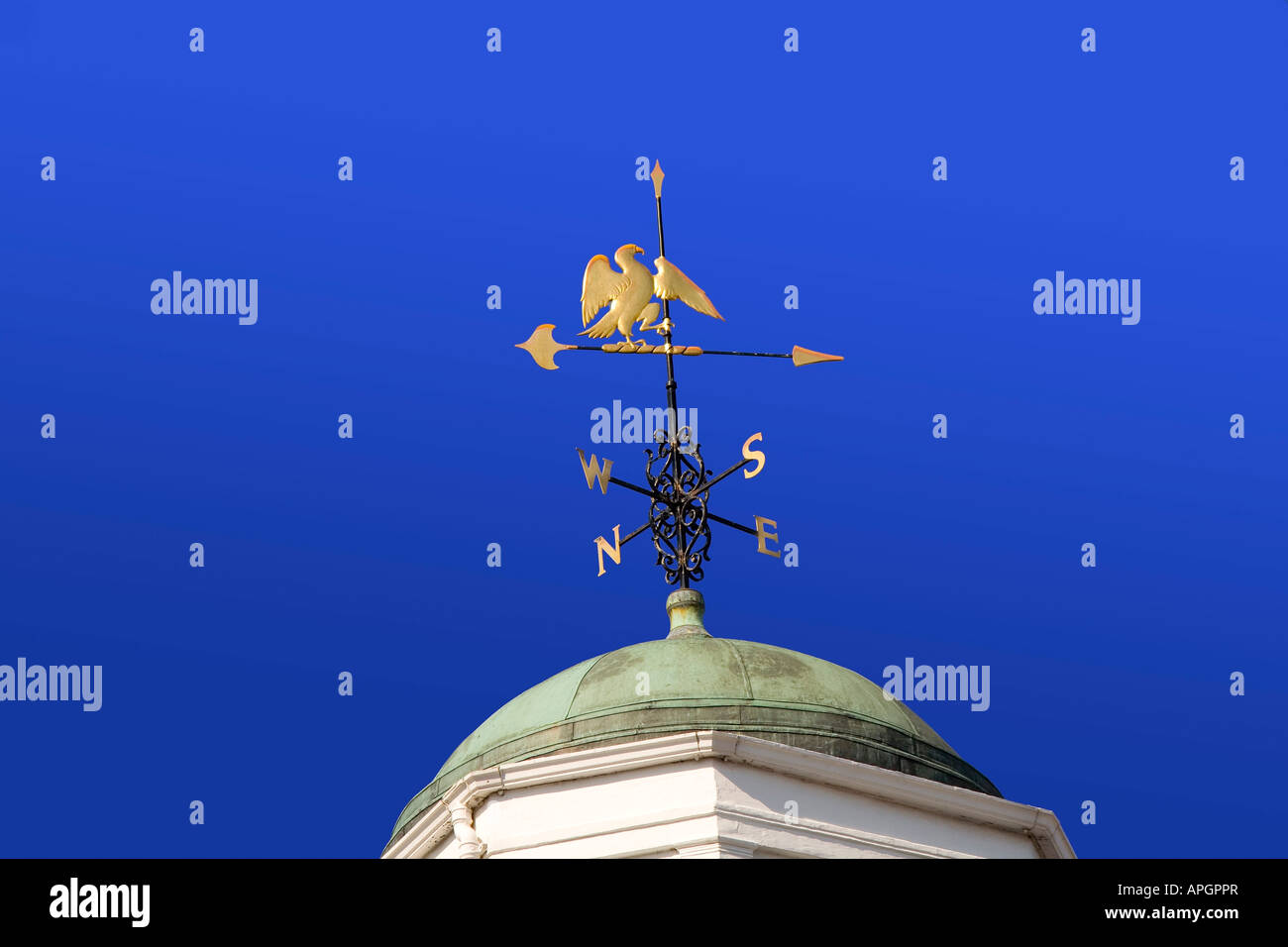 Aquila d'oro banderuola blu cielo Foto Stock