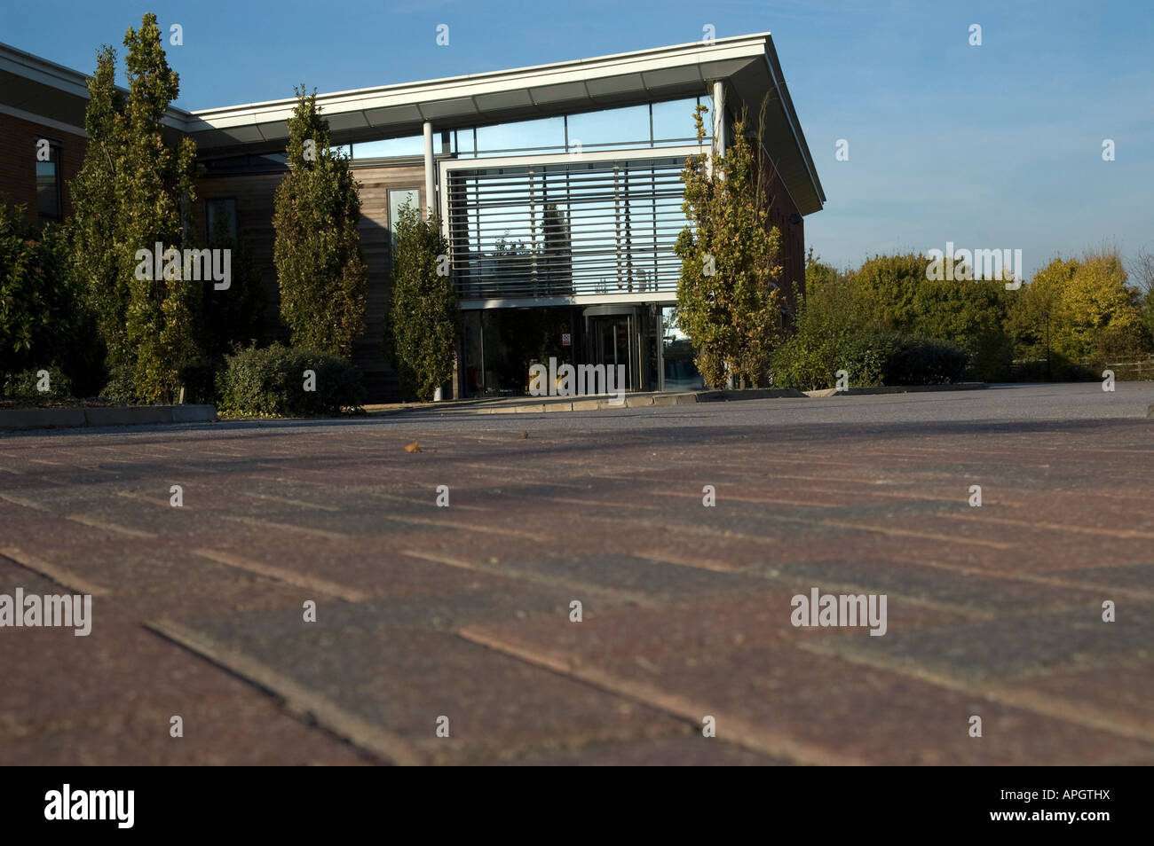 Ufficio commerciale developmet in una giornata di sole prese dal livello del suolo Foto Stock