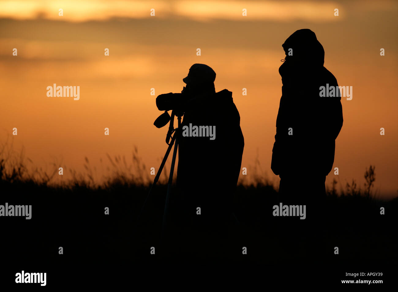 Gli amanti del birdwatching al tramonto Foto Stock