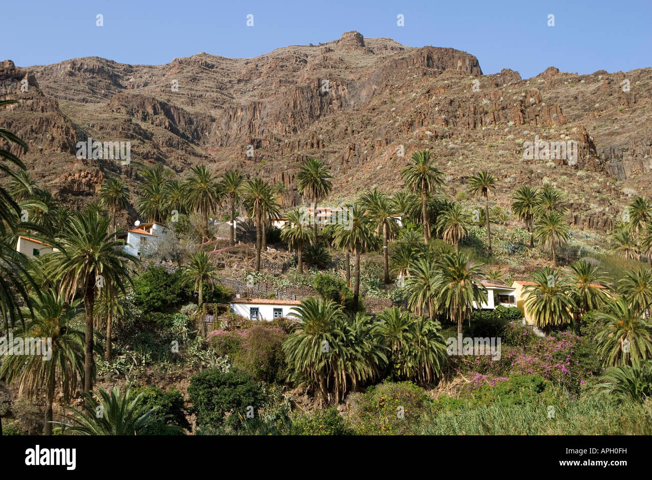 Vista di pittoresche case nel piccolo villaggio di El Guro nella valle Valle Gran Rey prevalentemente di lingua tedesca artisti vivono qui Foto Stock