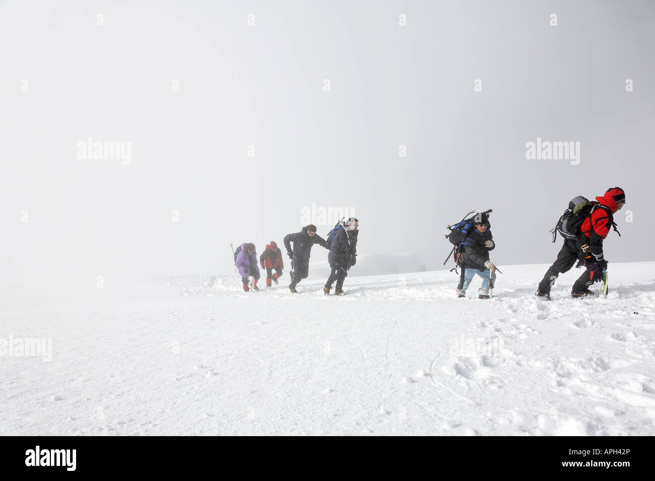 Alpinisti di avvicinarsi al vertice di Stok Kangri montagna in Ladakh India Foto Stock