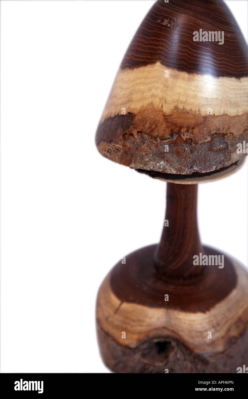 Fungo in legno Foto Stock