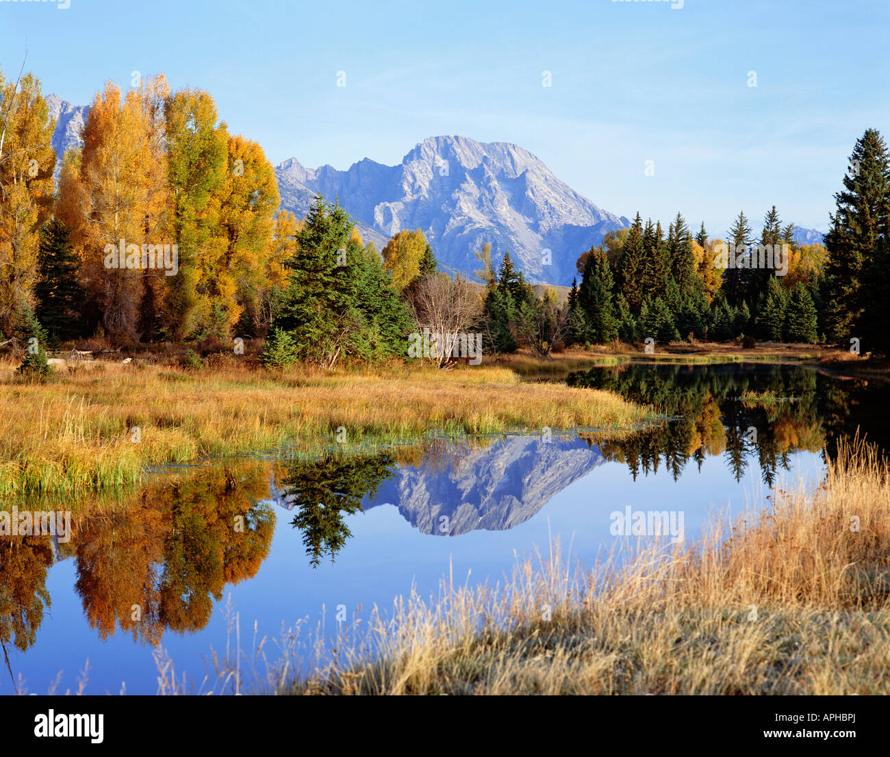 Stati Uniti d'America WYOMING Grand Teton National Park MOUNT MORAN e Snake River Foto Stock