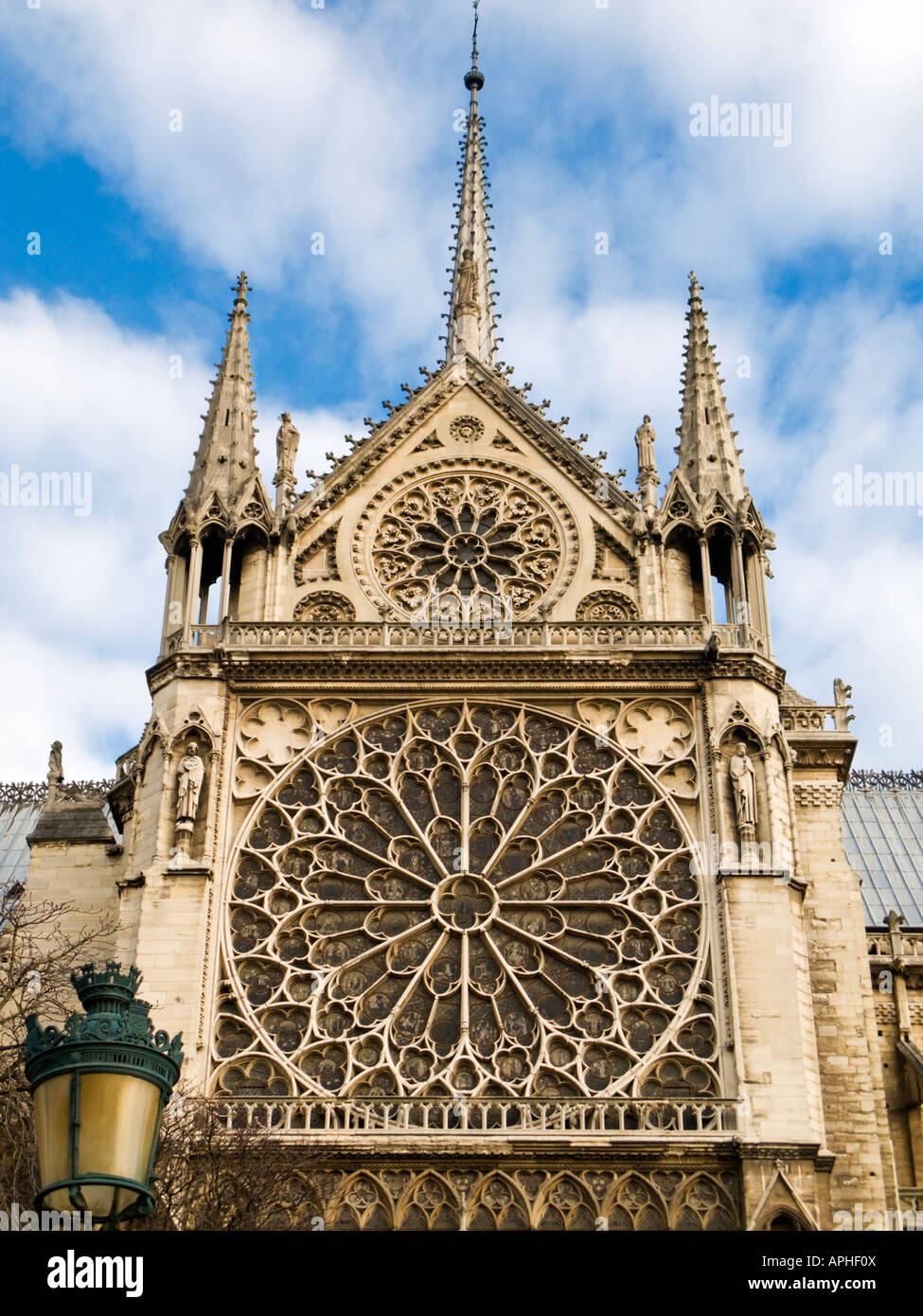 Sul lato sud con rosone dettaglio presso la cattedrale di Notre Dame, l'Ile de la Cite, Parigi Francia Foto Stock