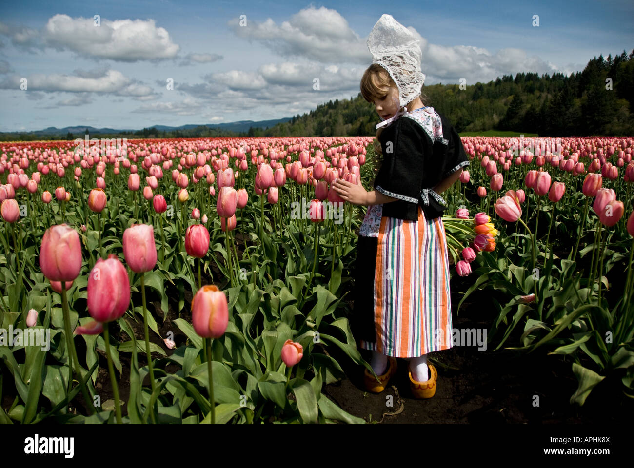 Giovane ragazza olandese in un campo di tulipani di toccare un tulipano rosa Foto Stock
