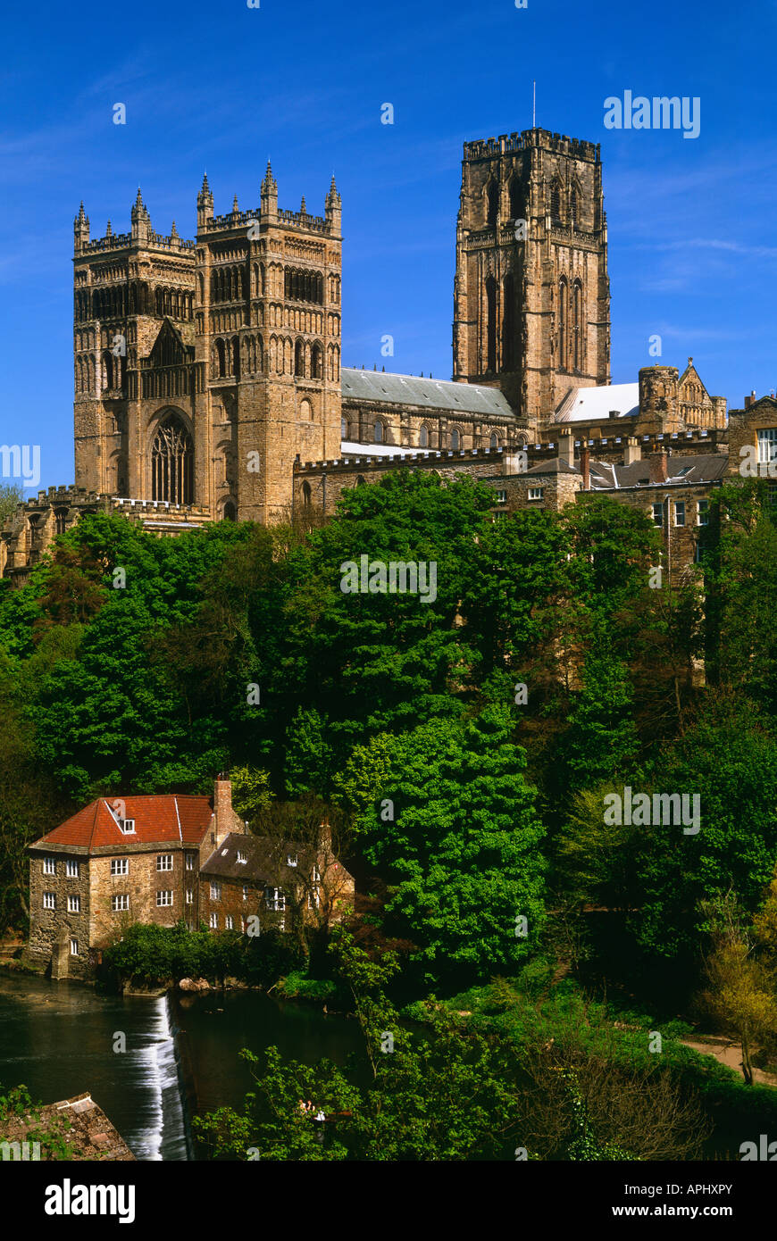 La Cattedrale di Durham e Fulling Mill oltre il Fiume usura, Durham City, nella contea di Durham Foto Stock