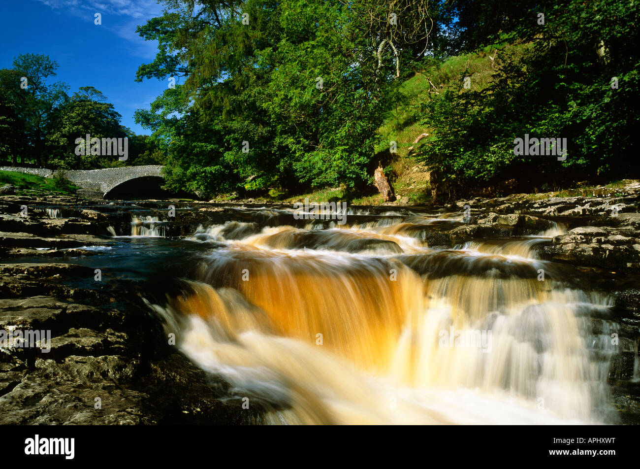 Stainforth vigore e il fiume Ribble, vicino a Settle, Yorkshire Dales National Park, West Yorkshire Foto Stock