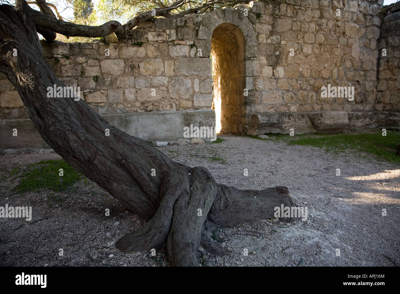 Stock Foto del Convento dei Frati Francescani sul Monte Tabor Foto Stock