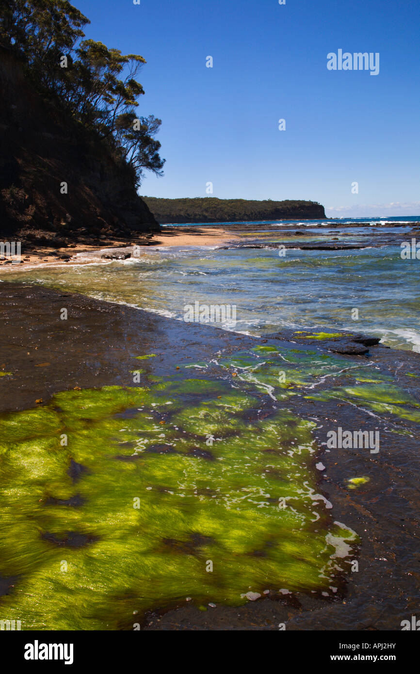 Spiaggia di ciottoli del Nuovo Galles del Sud Australia Foto Stock