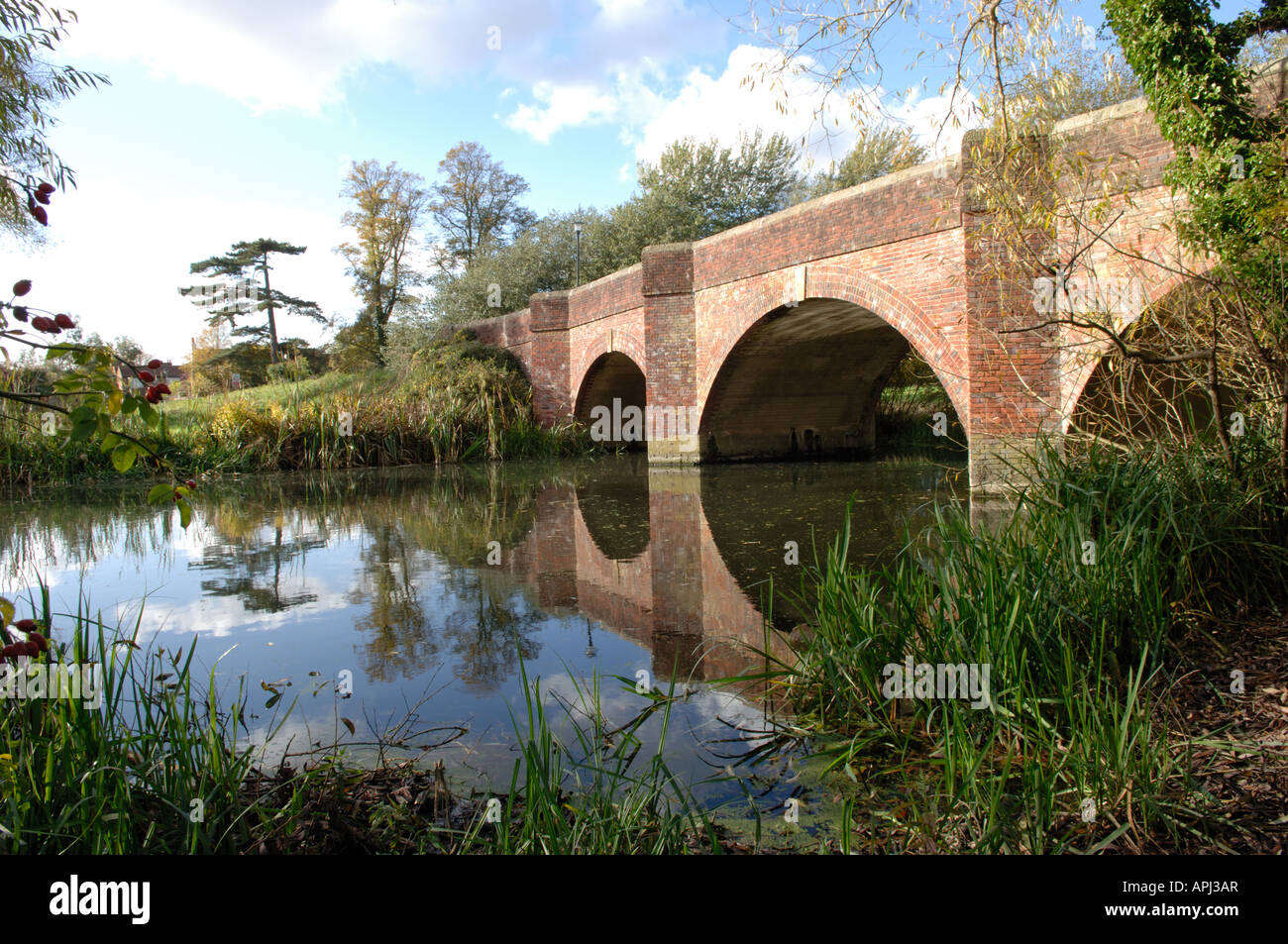 Ponte a Prato di palude, Cookham Foto Stock