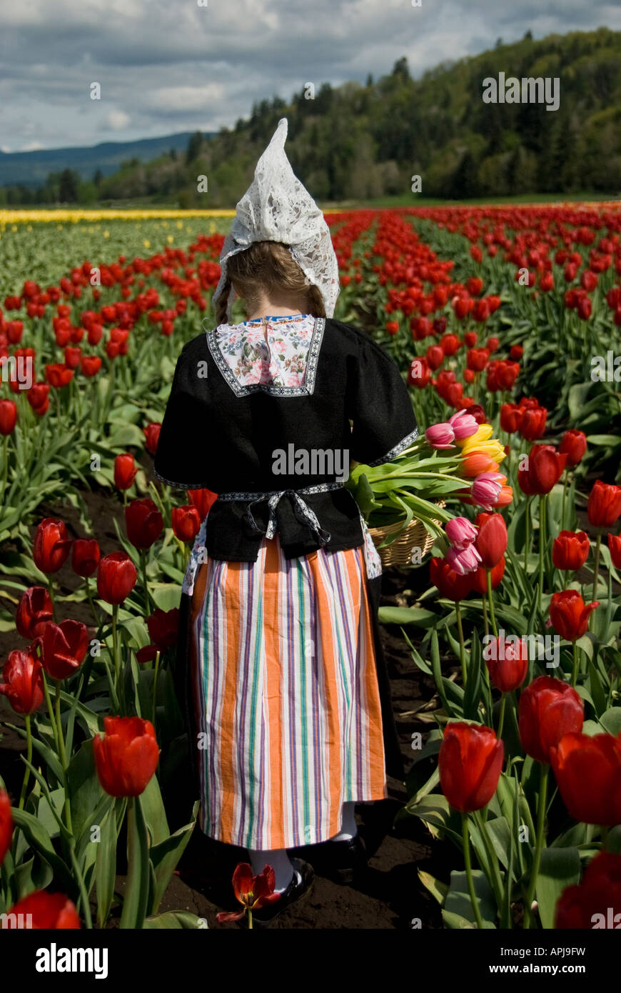 Giovane olandese ragazza camminare in un campo di tulipani Foto Stock