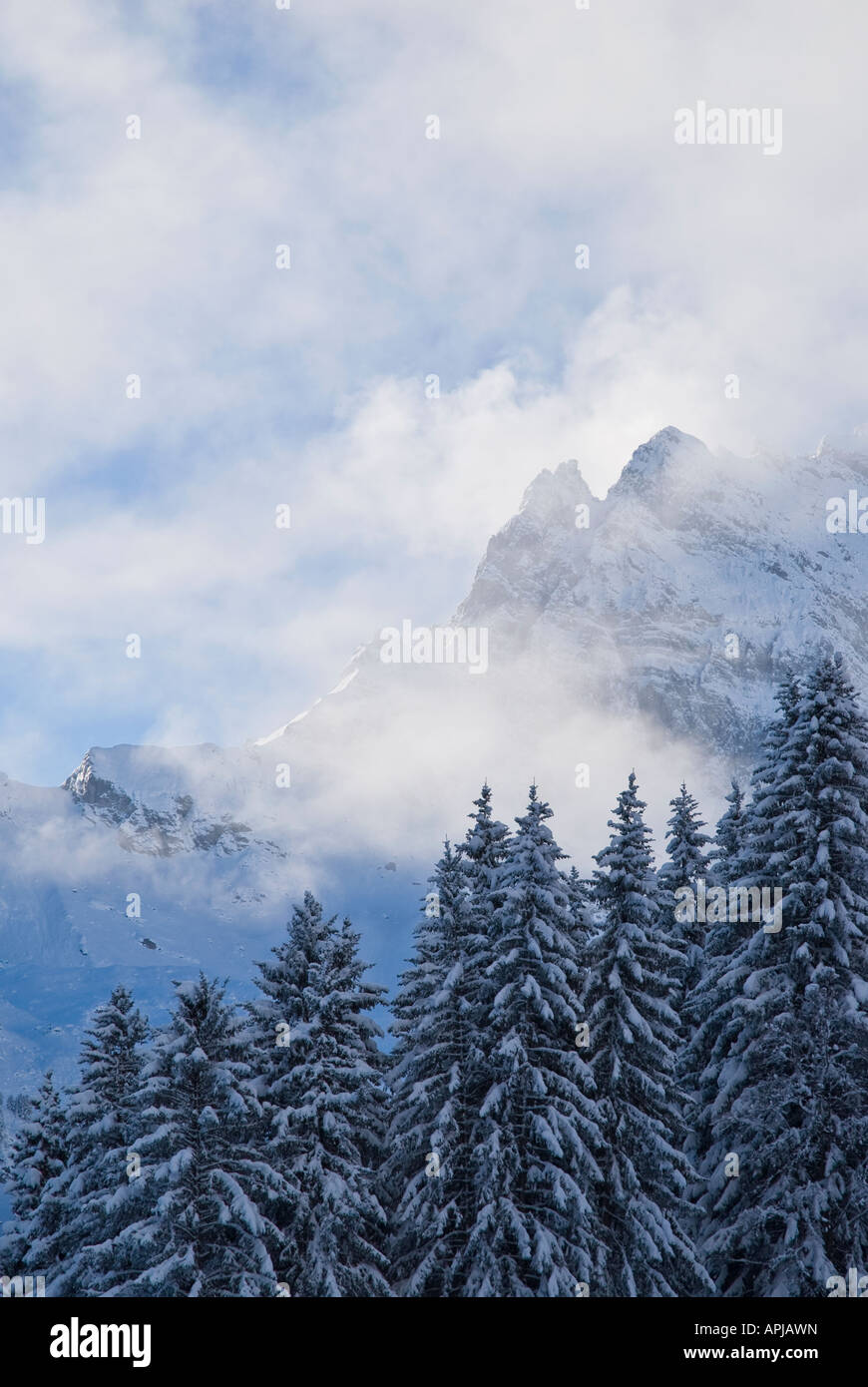 Cancellazione di tempesta di neve sulle montagne nelle Alpi Bernesi vicino a Gimmelwald, Svizzera Foto Stock