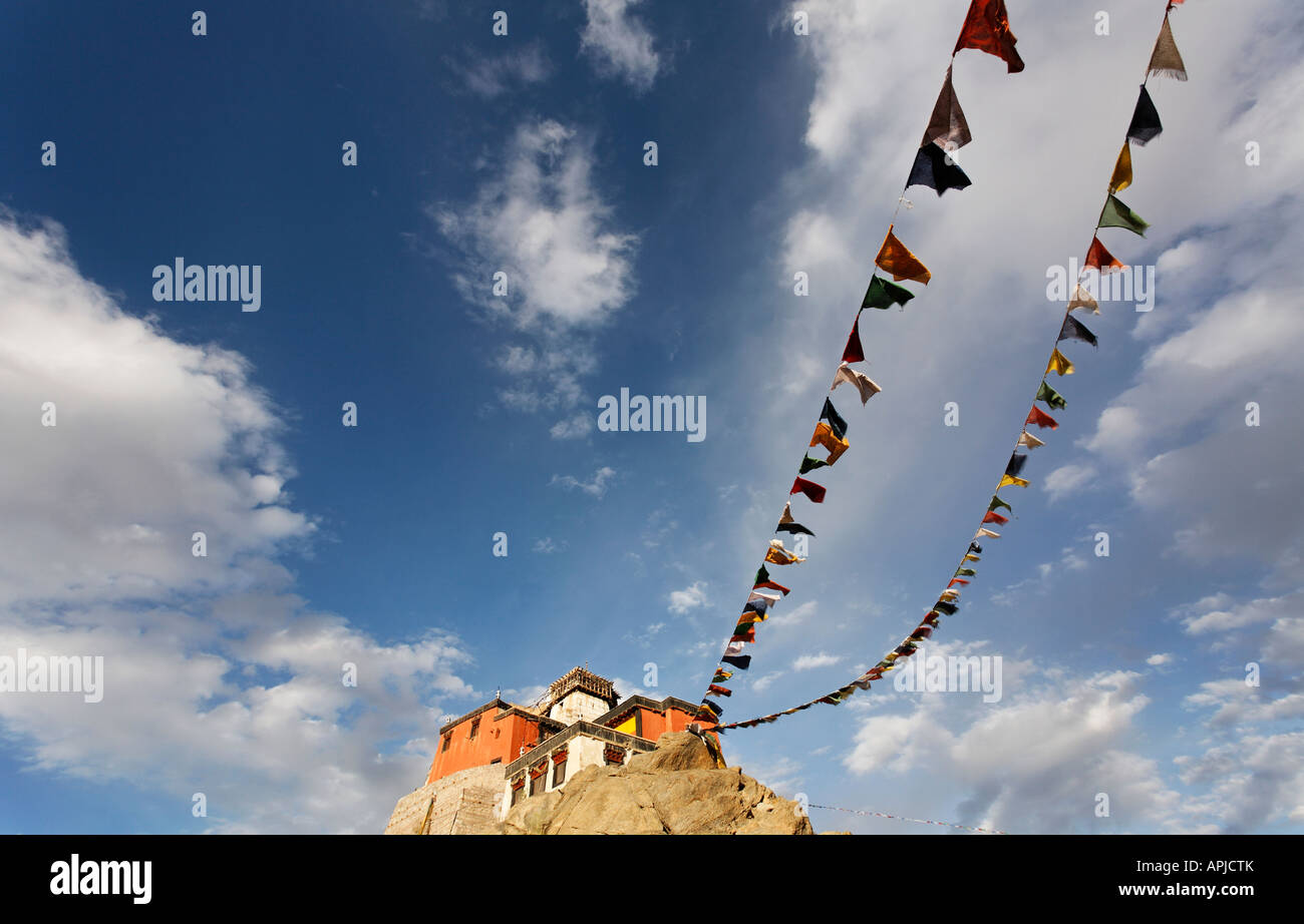 Tsemo Gompa e la vittoria di Fort costruire su una cresta rocciosa abve Leh Ladakh India Foto Stock