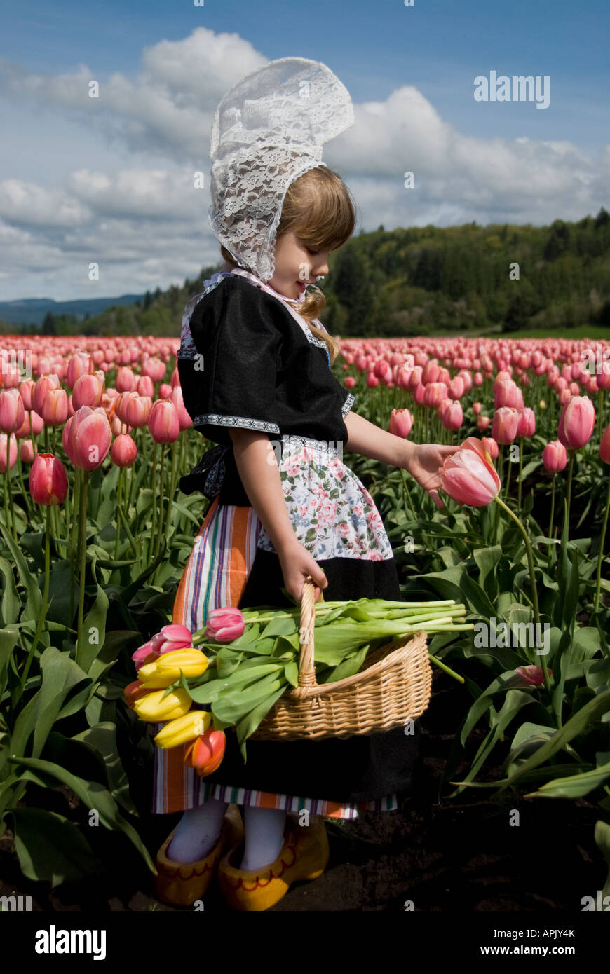 Giovane ragazza olandese ammirando un tulipano rosa in un campo di tulipani Foto Stock