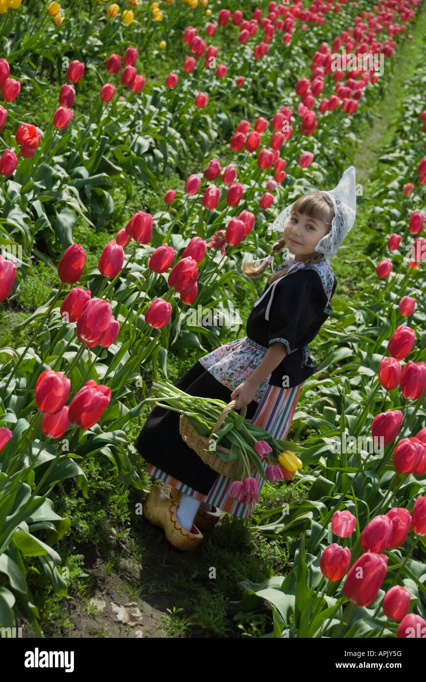 Giovane ragazza in un costume olandese in un campo di tulipani Foto Stock