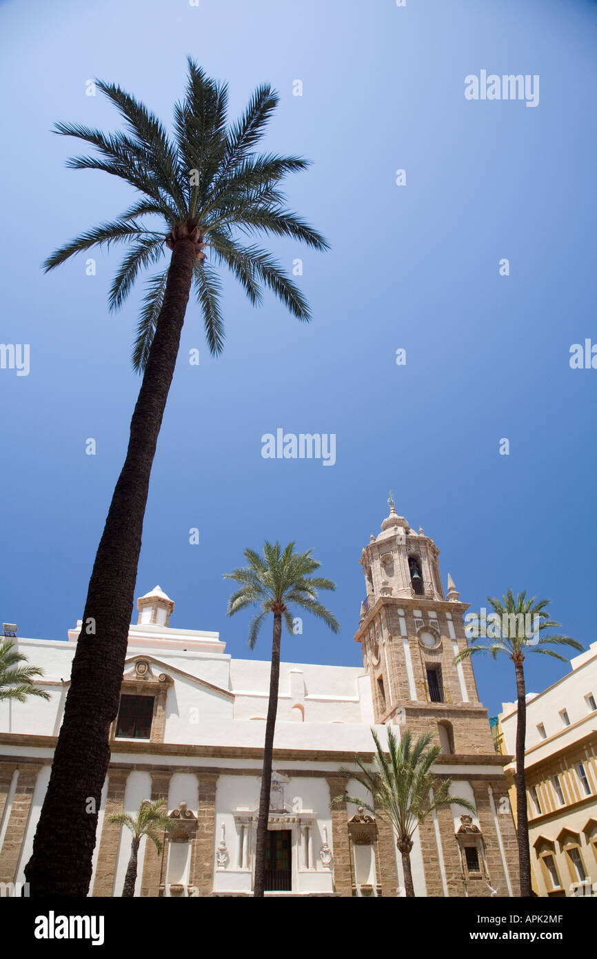 Immagine della cartolina della chiesa di San Francisco con alte palme Cadiz Spagna Foto Stock