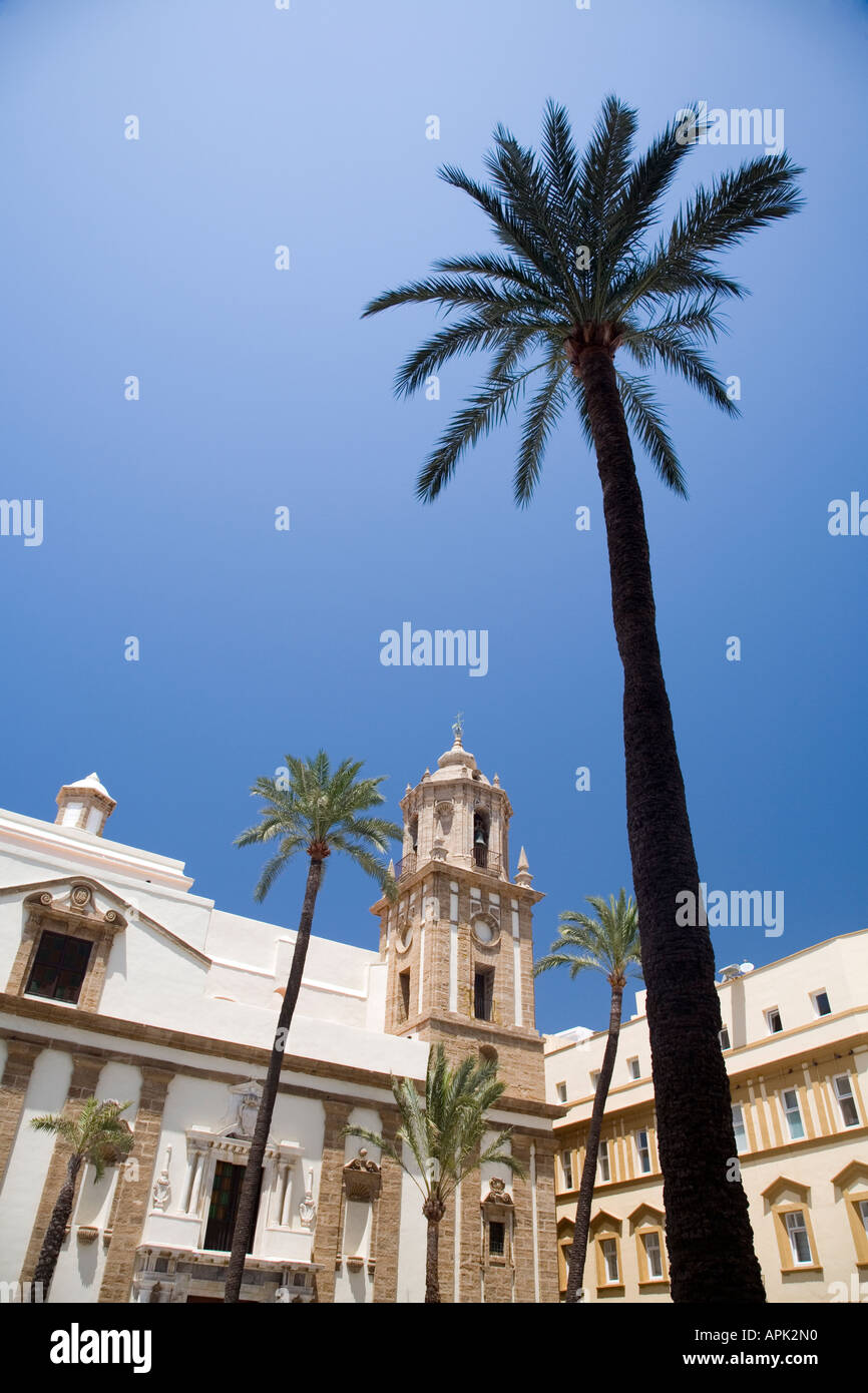 Immagine della cartolina della chiesa di San Francisco con alte palme Cadiz Spagna Foto Stock