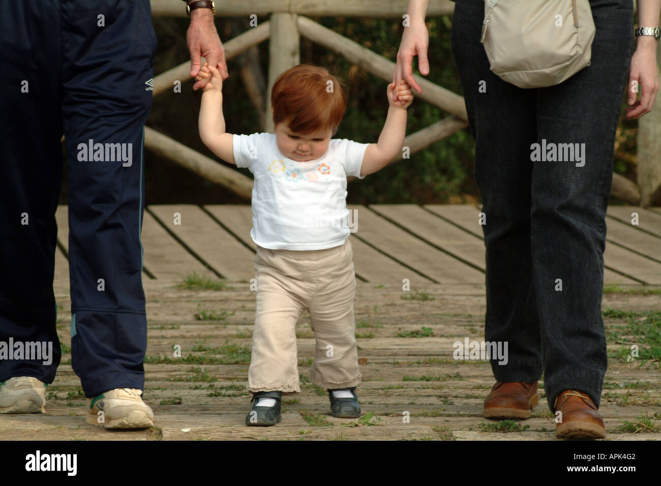 Baby girl ad imparare a camminare aiutato dai suoi genitori Foto Stock