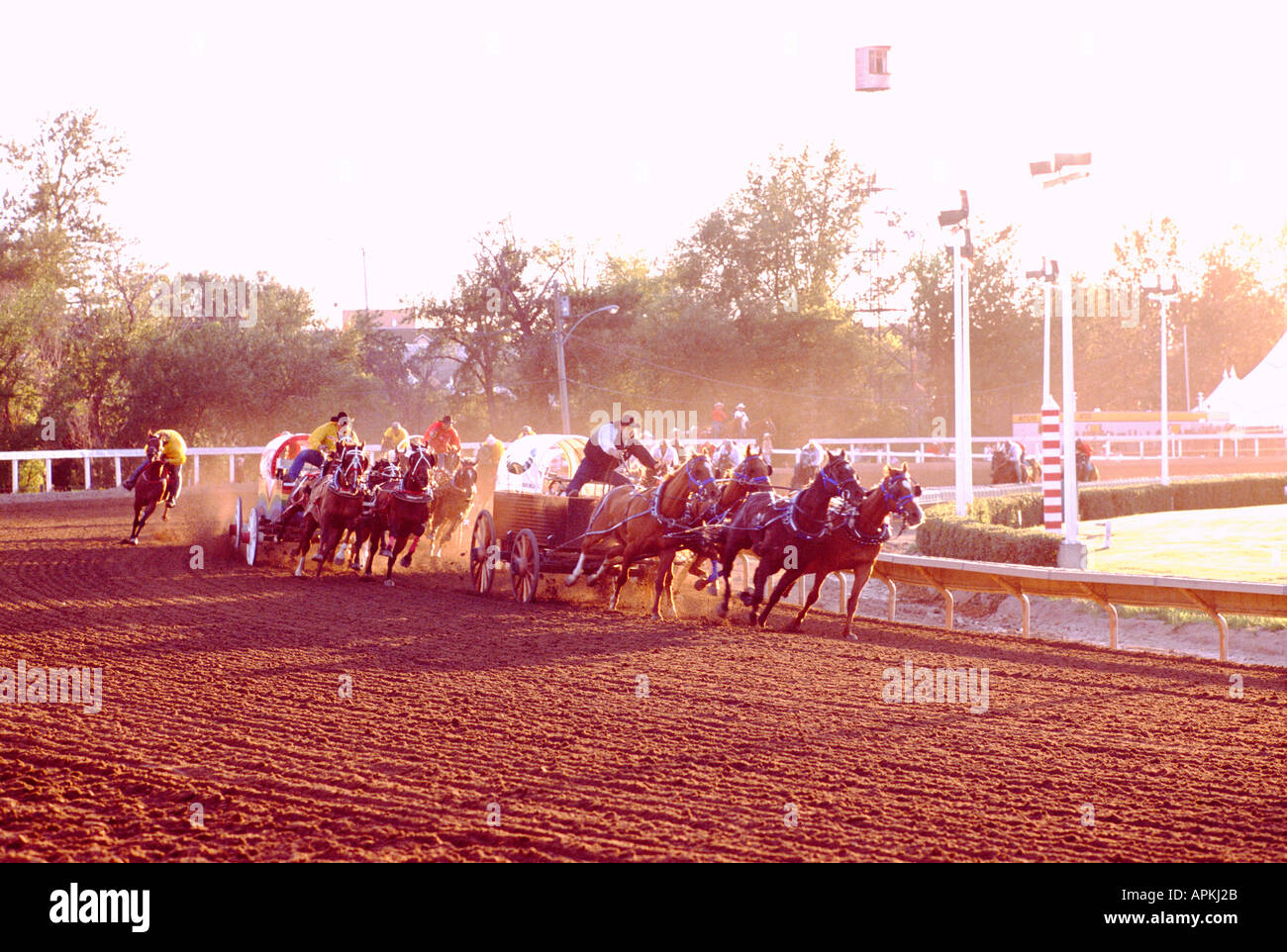 Una gara Chuckwagon a Calgary Stampede Rodeo nella città di Calgary in Alberta Canada Foto Stock