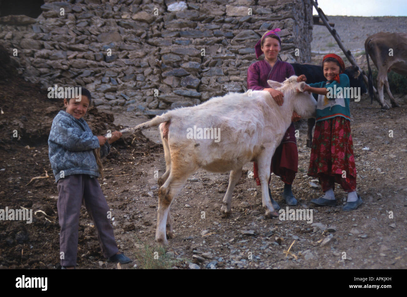 Bambini tagiko con un vitello, Uzbekistan, Dzhizak, Nuratau Berge Foto Stock
