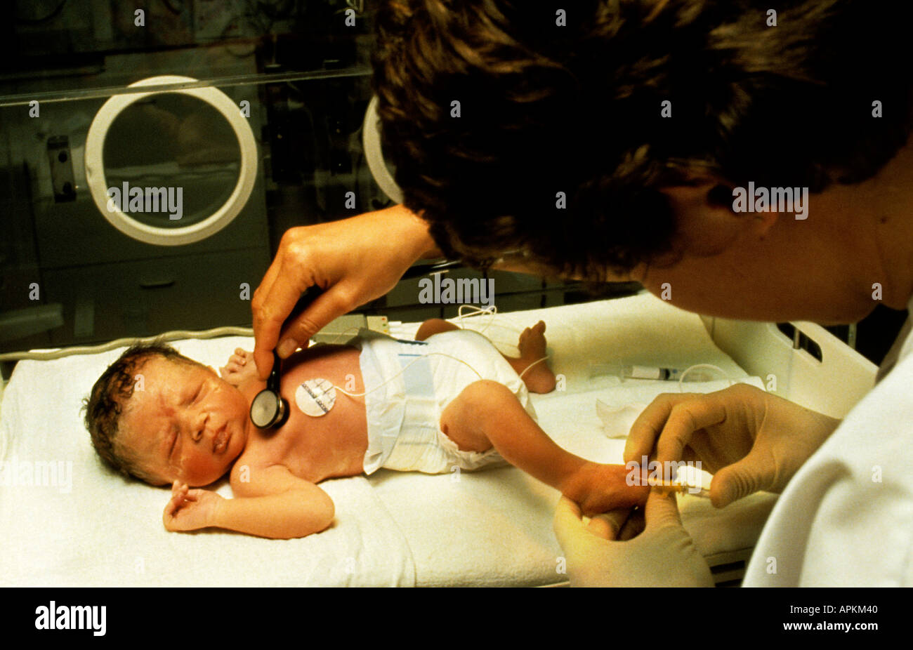 Incubatore premature baby cura intensiva ospedale Foto Stock