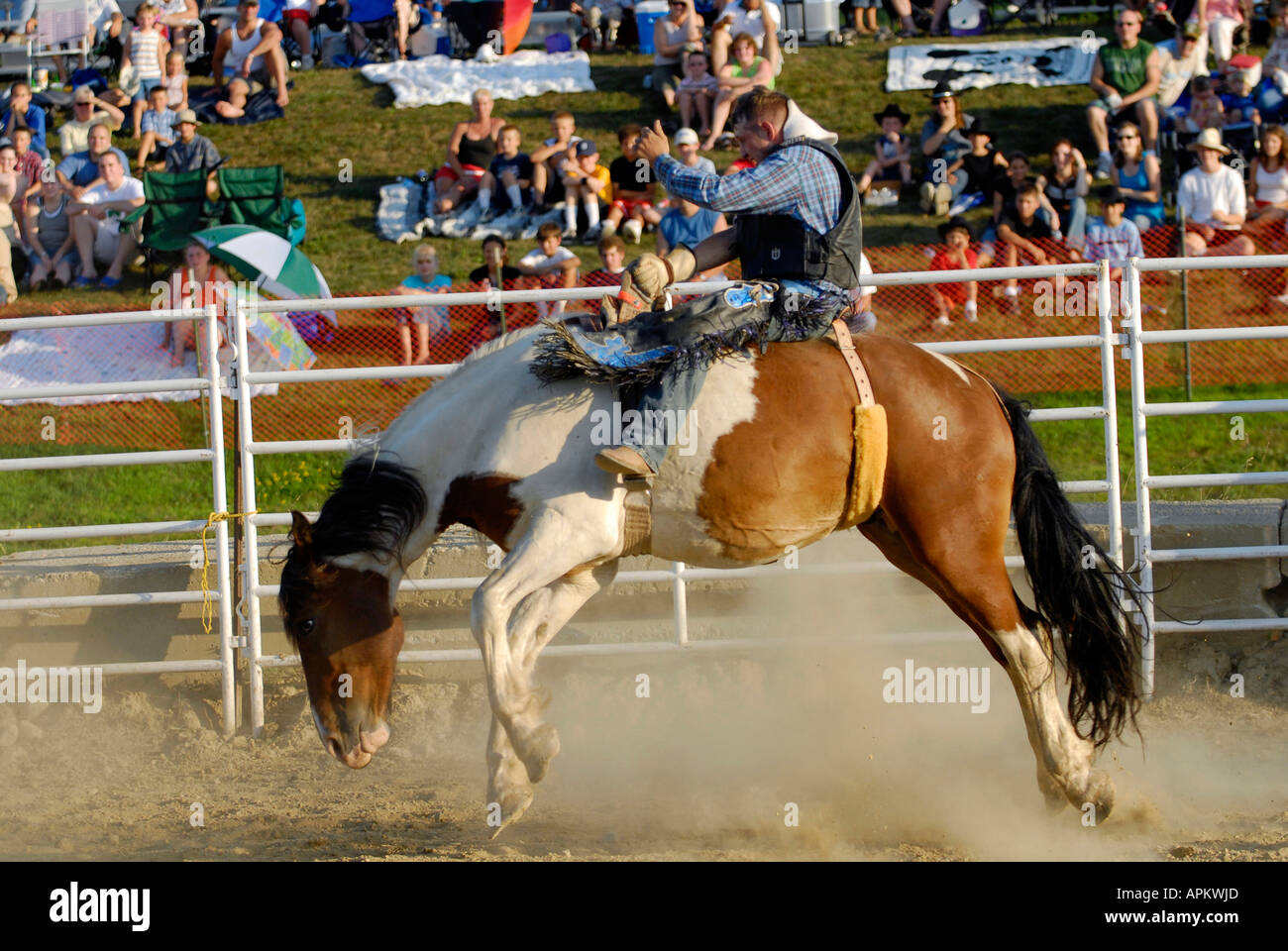 I cowboys partecipare al Rodeo equitazione evento Foto Stock