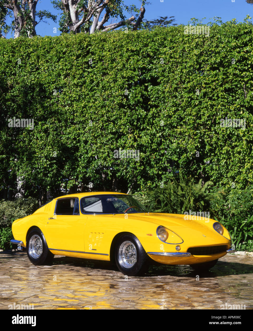 1967 Ferrari 275 GTB 4 carrozzerie da Pinninfarina Foto Stock