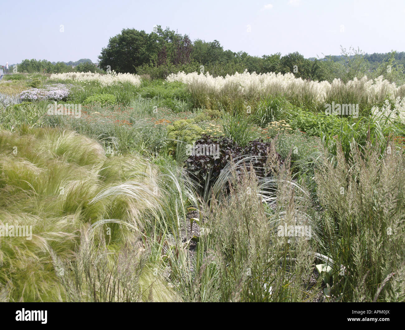 BUGA 2007, Federal Garden Exhibition 2007 Gera e Ronneburg, Bundesgartenschau, erbe, Germania, Ronneburg Foto Stock