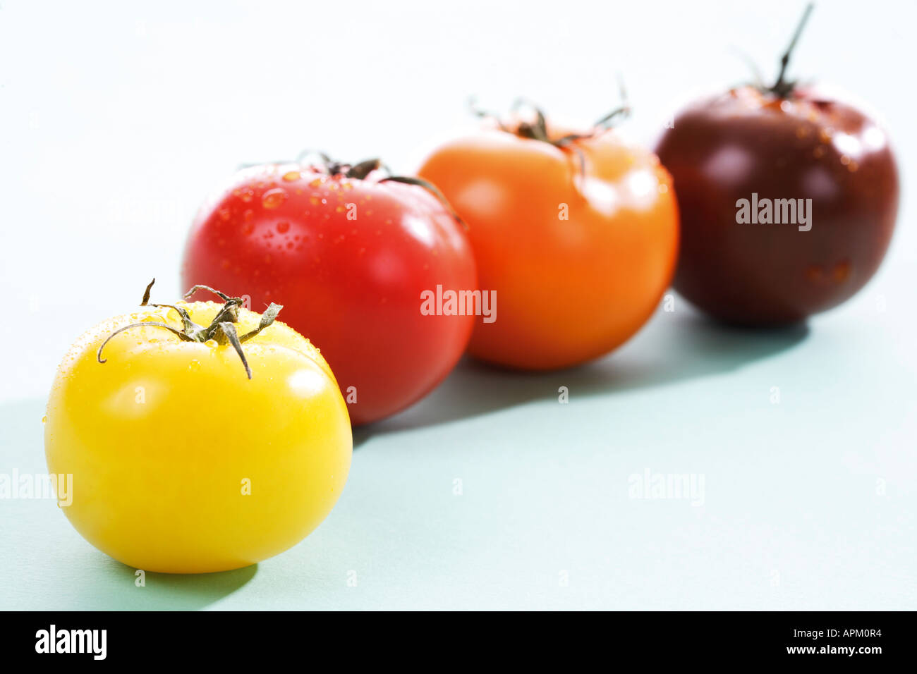 Vari tipi di pomodori Foto Stock