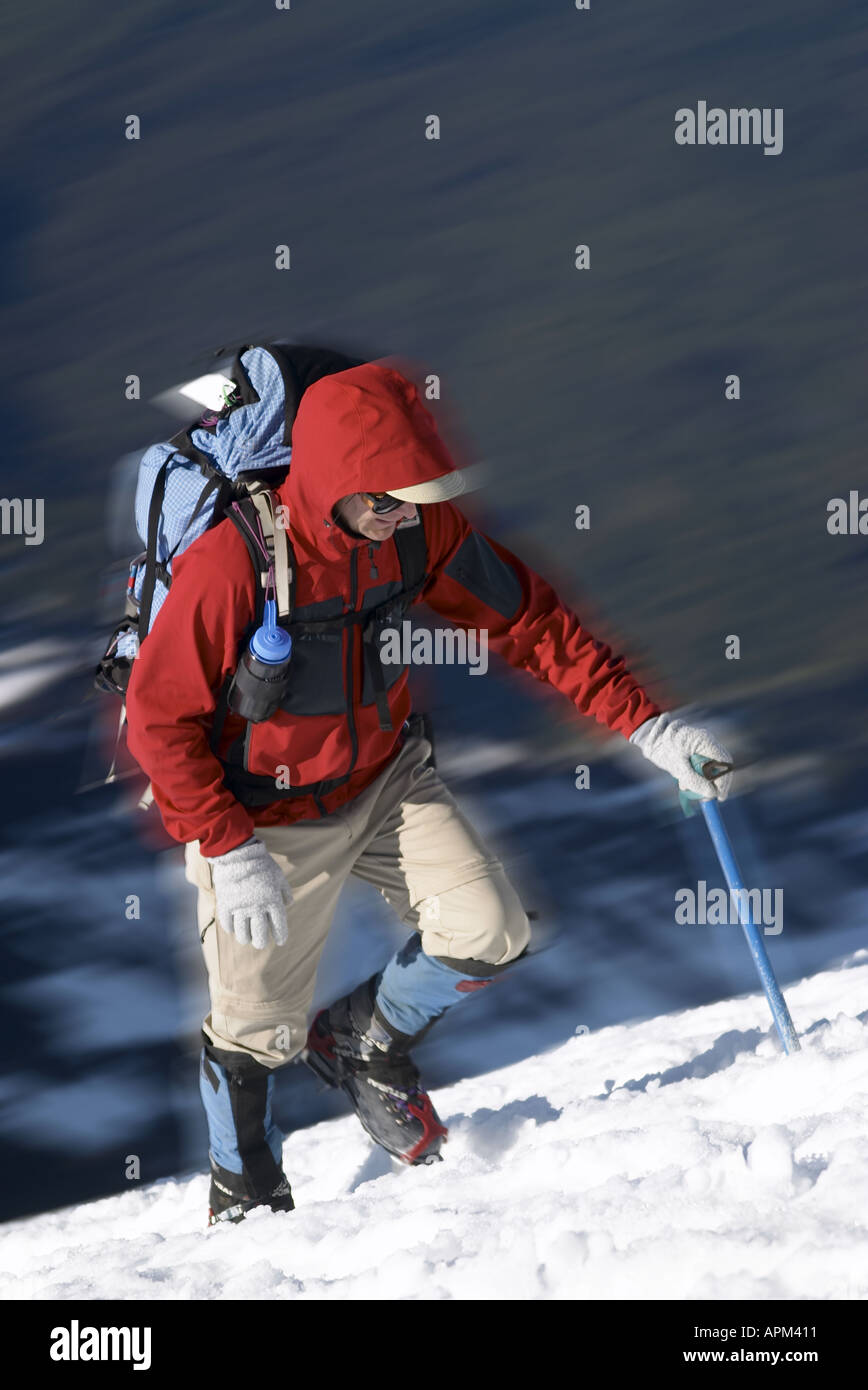 Uomo in camicia rossa salendo la neve sul Monte Adams contea di Yakima Cascade Mountains Washington STATI UNITI D'AMERICA Foto Stock