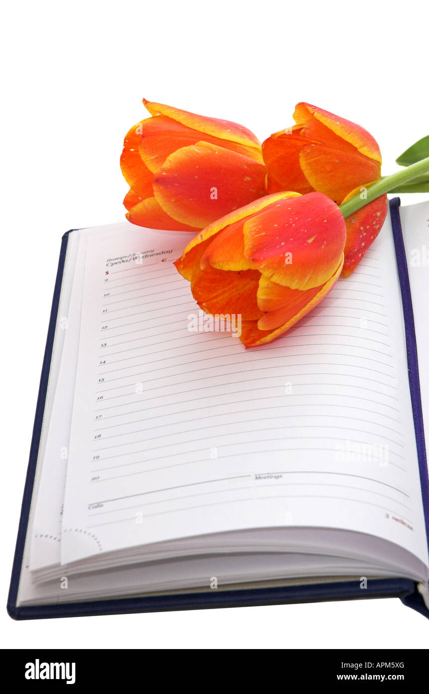 I tulipani su notebook ricordamelo evento speciale Foto Stock