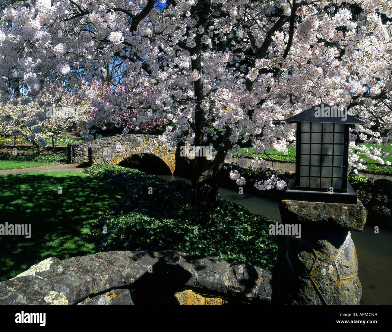 Primavera fiorisce tra il parco come impostazioni sui motivi di Oregon la Columbia Gorge Hotel. Foto Stock